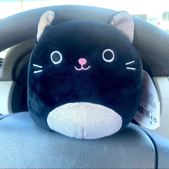 Squishmallows Other - NOT AVAILABLE DO NOT BUY Autumn the cat Squishmallow 5" PRICE FIRM!